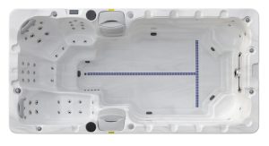 Echo Spas K450x 2