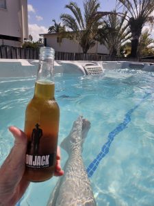 Echo Spas K450x Enjoy